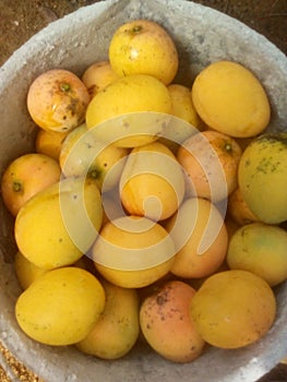 Jamaican best fruit stingy