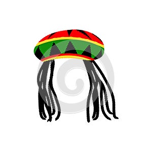 Jamaican rasta hat with dreadlocks. Reggae style avatar. Isolated on white background. Vector. photo