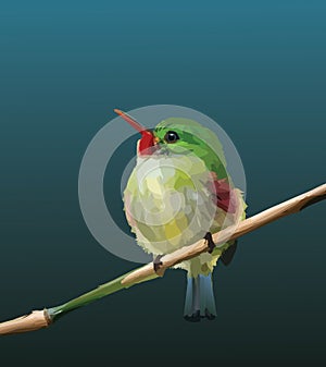 Jamaican tody isolated illustration endemic plant rasta bird