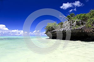 Jambiani Beach, south of Zanzibar photo