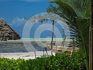 Jambiani beach at Zanzibar, Tanzania photo