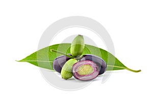 Jambolan plum or Java plum isolated on white background