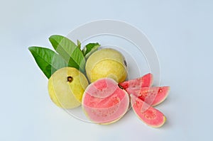 jambu merah or Psidium guajava or red guava isolated on white background