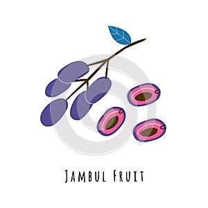 Jambul fruit flat vector illustration