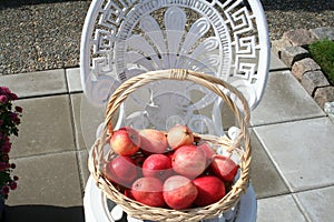 James Grieves apples have been found in Swedish gardens during long time ago