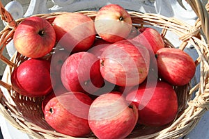 James Grieves apples have been found in Swedish gardens during long time ago