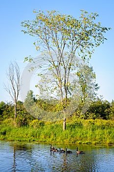 Jamestown Audubon Center and Sanctuary