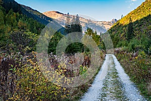 Jamnicka dolina valley with Baranec and Ostry Rohac mountain peaks in Zapadne Tatry mountains in Slovakia