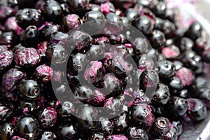 Jamun Fruits