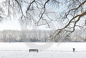 Jan Kasprowicz Park in winter, Szczecin, Poland