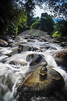 Janda Baik downstream