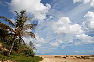 Jandia beach photo