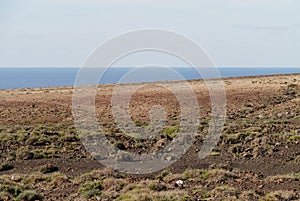 The Jandia nature park on Fuerteventura in Spain