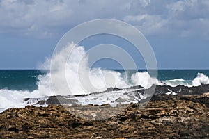 Jandia North Coast, Fuerteventura