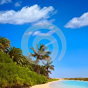 Jandia Sotavento beach Fuerteventura Canary