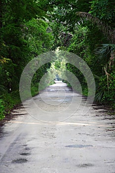 Janes Scenic Highway