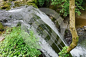 Janet`s Foss Waterfall and Gordale Beck, near Malham Cove, Yorkshire Dales, England, UK photo