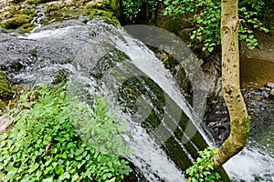 Janet`s Foss Waterfall and Gordale Beck, near Malham Cove, Yorkshire Dales, England, UK