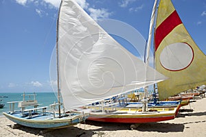 Jangada Traditional Sailboats Brazilian Beach