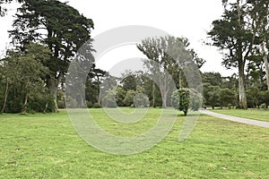 Janis Joplin Tree Golden Gate Park San Francisco 12