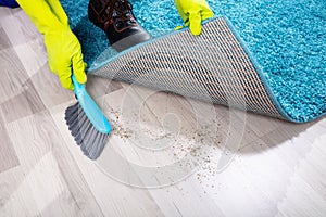 Janitor Sweeping Dirt Under The Carpet