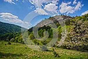 Janosikova skala rock during spring