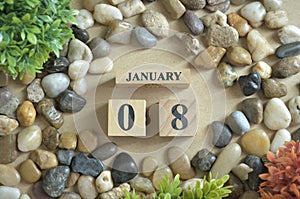 January 08, natural background.