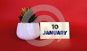 January 10 on a yellow sticker.Next to it is a pot with a flower on a red background .