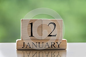 January 12 calendar date text on wooden blocks with blurred background park. Copy space and calendar concept