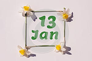 January 13th. Day of 13 month, calendar date. Frame from flowers of a narcissus on a light background, pattern. View from above.