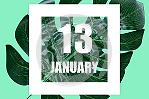 january 13th. Day 13 of month,Date text in white frame against tropical monstera leaf on green background winter month