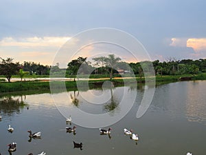 January 15, 2015, TremembÃ©, Sao Paulo, Brazil, lake with geese at sunset.