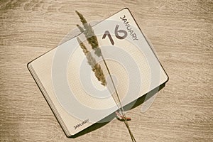 january 16. 16th day of month, calendar date.Blank pages of notebook are beige, with dried spikelets. Concept of day of