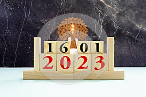 January 16 calendar date text on wooden blocks with blurred background park