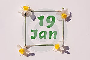 January 19th. Day of 19 month, calendar date. Frame from flowers of a narcissus on a light background, pattern. View from above.