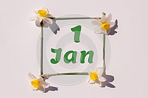 January 1st. Day of 1 month, calendar date. Frame from flowers of a narcissus on a light background, pattern. View from above.