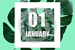 january 1st. Day 1 of month, Date text in white frame against tropical monstera leaf on green background winter month
