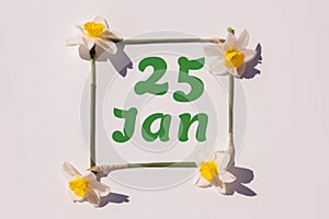 January 25th. Day of 25 month, calendar date. Frame from flowers of a narcissus on a light background, pattern. View from above.