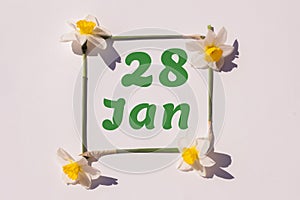 January 28th. Day of 28 month, calendar date. Frame from flowers of a narcissus on a light background, pattern. View from above.