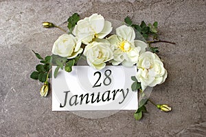 January 28th. Day 28 of month, Calendar date. White roses border on pastel grey background with calendar date. Winter month, day