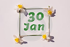 January 30th. Day of 30 month, calendar date. Frame from flowers of a narcissus on a light background, pattern. View from above.