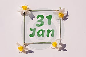 January 31th. Day of 31 month, calendar date. Frame from flowers of a narcissus on a light background, pattern. View from above.