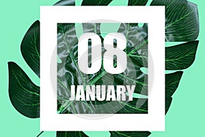 january 8th. Day 8 of month,Date text in white frame against tropical monstera leaf on green background winter month