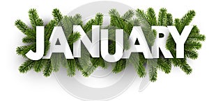 January banner with fir branches.