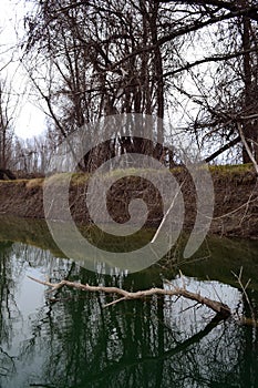 January Day on the Jianu Arm 1