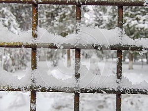 January fresh snow, winter scene.