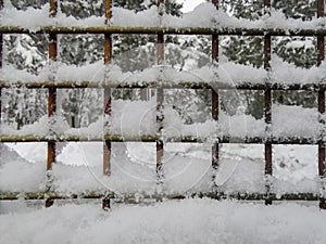 January fresh snow, winter scene.