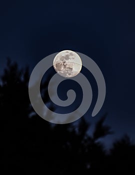 The Wolf Moon, dark full moon, latest moon photo 2022 photo