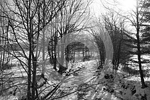 In january, icy river in the Canadian winter