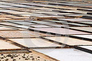 Janubio salinas in Lanzarote